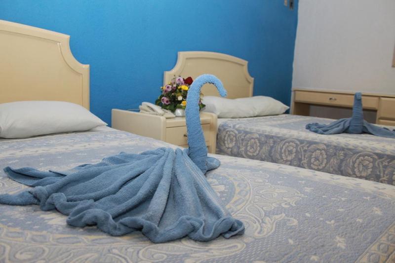 Hotel Isla De Sacrificio فيراكروز الغرفة الصورة